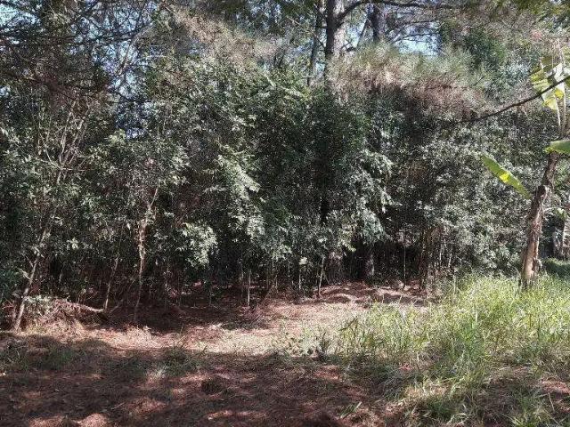 Terreno venda em Região Geográfica Imediata de Porto Alegre, Região Metropolitana de Porto Alegre