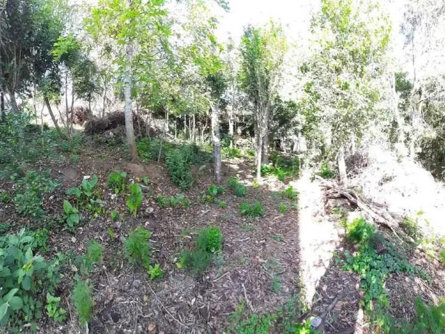 Terreno venda em Região Geográfica Imediata de Porto Alegre, Região Metropolitana de Porto Alegre