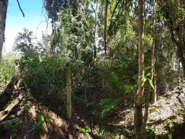 Terreno venda em Região Geográfica Imediata de Porto Alegre, Região Metropolitana de Porto Alegre
