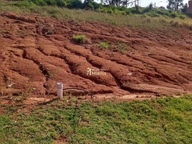 Terreno venda em Sede, Viamão