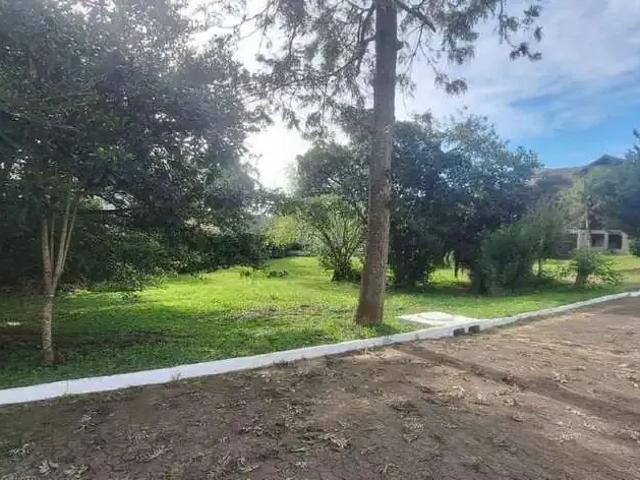 Terreno venda em Sede, Viamão