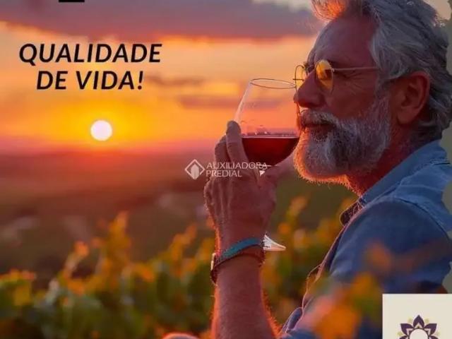 Terreno venda em Região Geográfica Imediata de Bento Gonçalves, Vila Flores