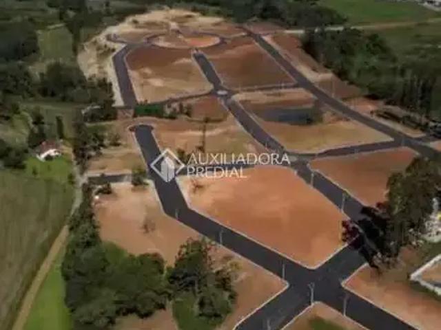 Terreno venda em Região Geográfica Imediata de Bento Gonçalves, Vila Flores