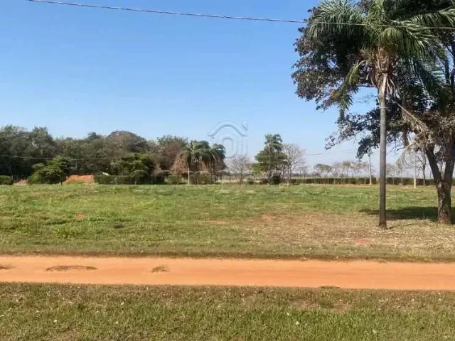 Terreno venda em Região Imediata de Birigui-Penápolis, Região Metropolitana de São José do Rio Preto