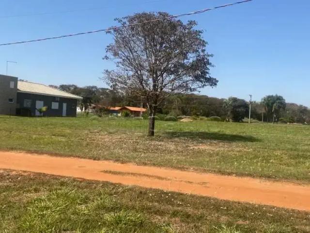 Terreno venda em Região Imediata de Birigui-Penápolis, Região Metropolitana de São José do Rio Preto