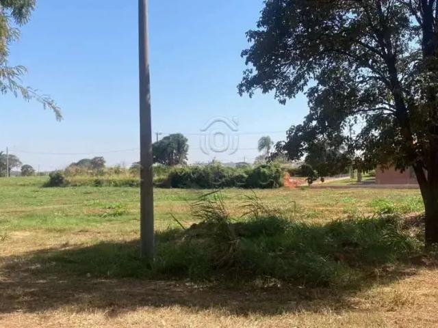 Terreno venda em Região Imediata de Birigui-Penápolis, Região Metropolitana de São José do Rio Preto