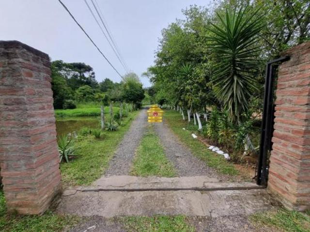 Terreno venda em Região Geográfica Imediata de Novo Hamburgo - São Leopoldo, São Sebastião do Cai