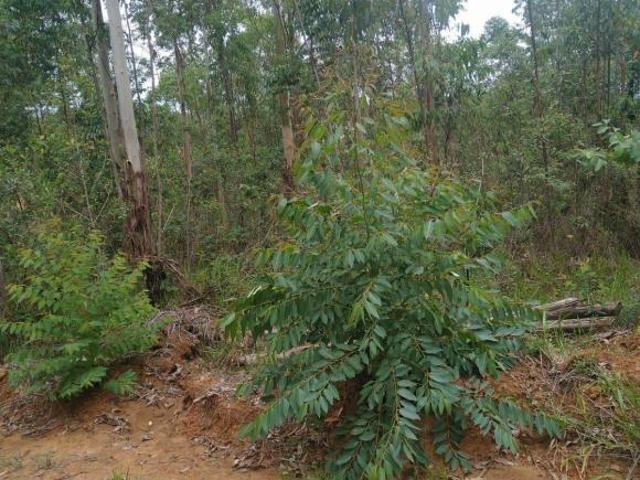 Terreno venda em Região Imediata de Sorocaba, Região Metropolitana de Sorocaba
