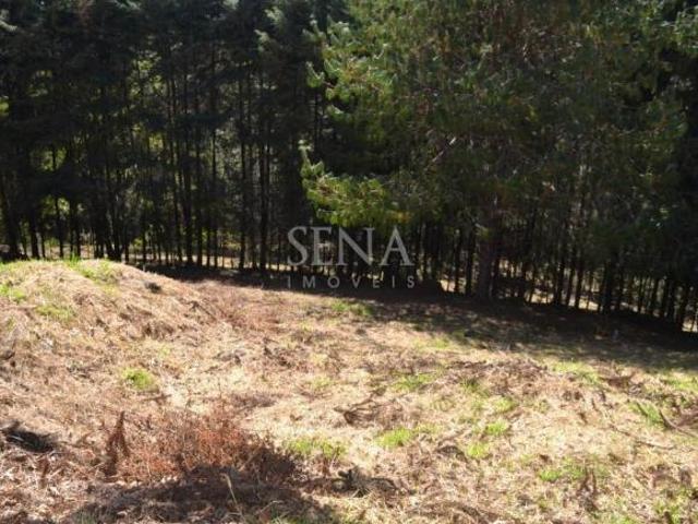 Terreno venda em Região Imediata de Taubaté-Pindamonhangaba, Região Metropolitana do Vale do Paraíba e Litoral Norte