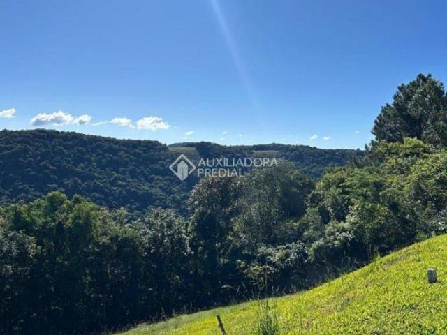 Terreno venda em Região Geográfica Imediata de Caxias do Sul, Nova Petrópolis