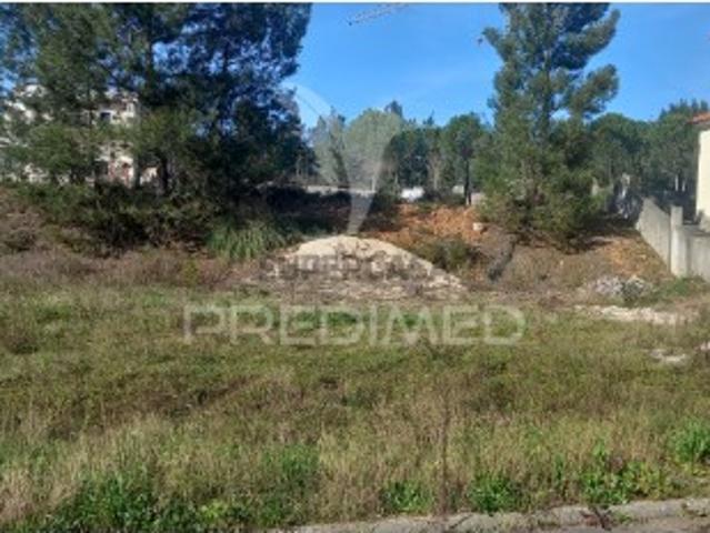 Terreno venda em Constância Terreno venda em Constância