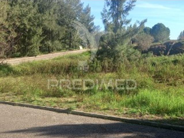Terreno venda em Constância Terreno venda em Constância