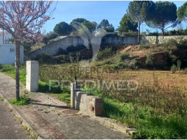 Terreno venda em Constância Terreno venda em Constância