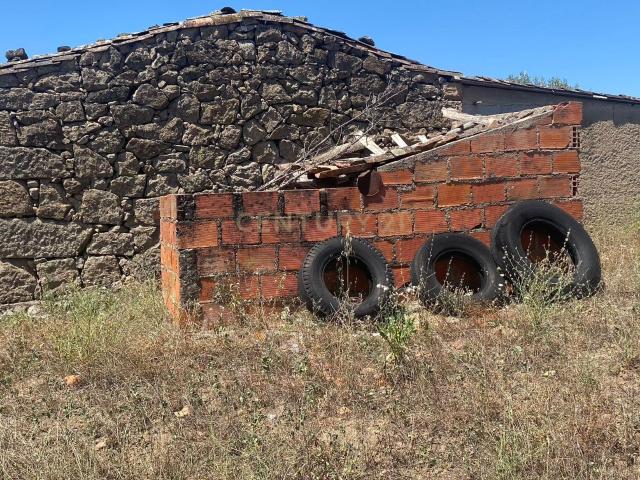 Terreno venda em Castelo Branco