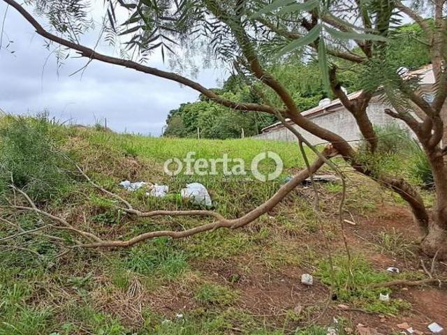 Terreno venda em Região Geográfica Imediata de Curitiba, Região Metropolitana de Curitiba