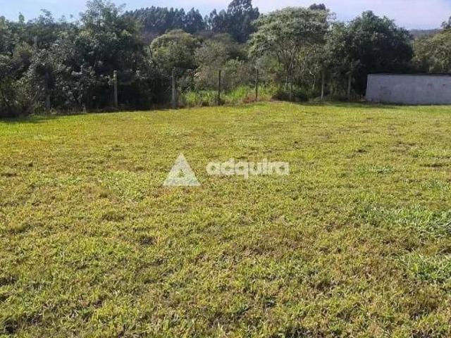 Terreno venda em Uvaia, Ponta Grossa