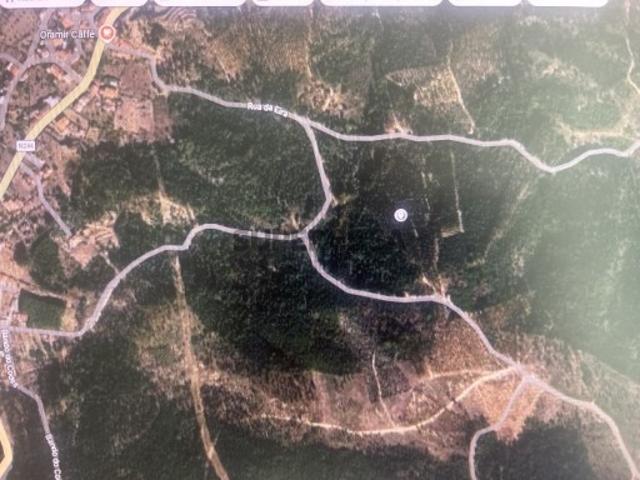 Terreno venda em Chão de Lopes Grande, Mação