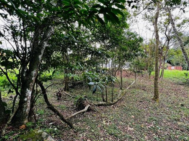 Terreno venda em Região Geográfica Imediata de Florianópolis, Desterro