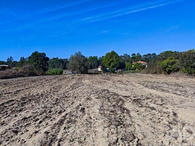 Terreno venda em Coruche