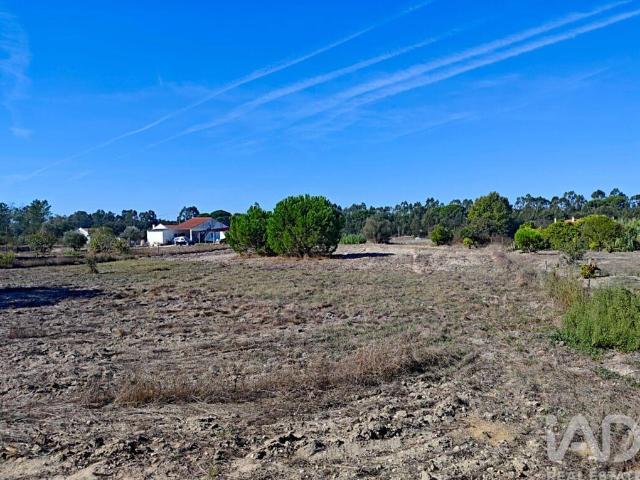 Terreno venda em Coruche