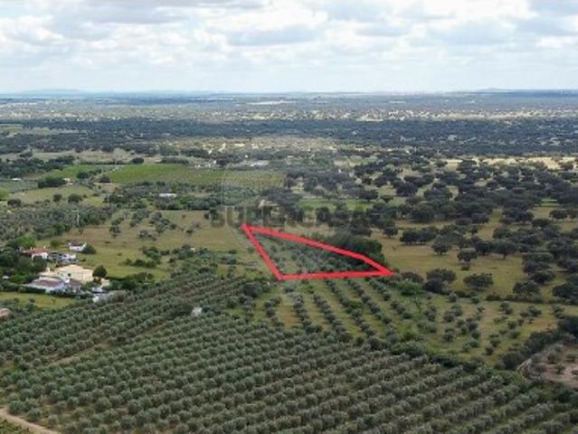 Terreno venda em Reguengos De Monsaraz, Évora