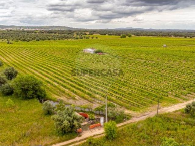Terreno venda em Reguengos De Monsaraz, Carrapatelo