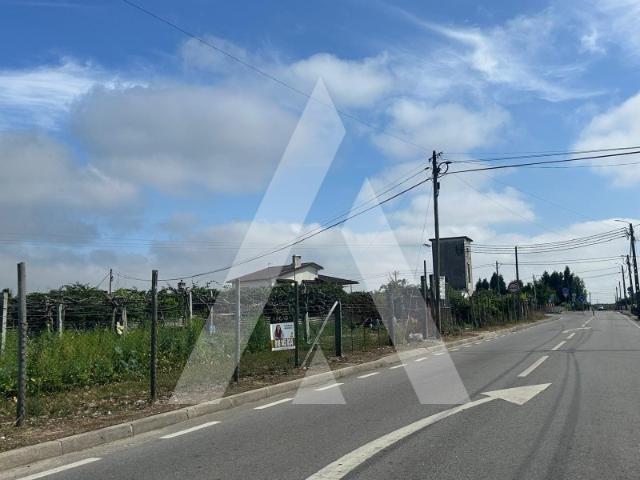 Terreno venda em Monte Arcado, Cantanhede