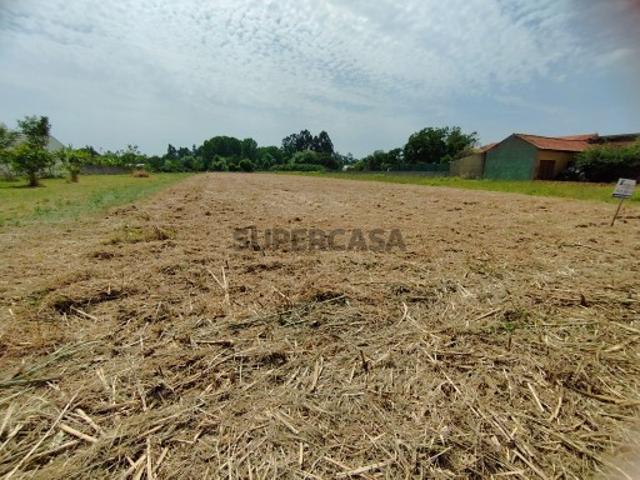 Terreno venda em Cantanhede, Coimbra