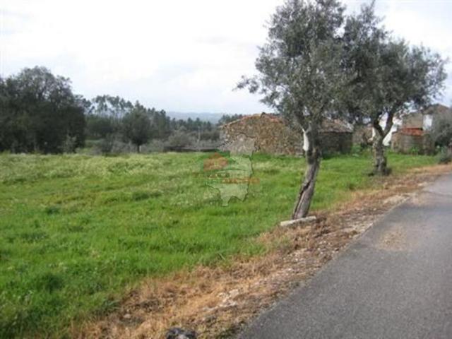 Terreno venda em Castelo Branco, Vila De Rei