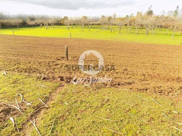 Terreno venda em Rindo, Trofa