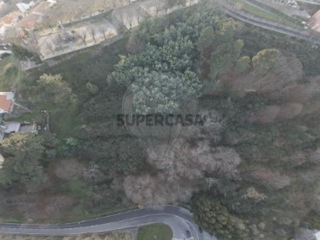 Terreno venda em Castelo Branco, Canhoso