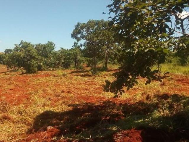 Terreno venda em Região Geográfica Imediata de Curvelo, Curvelo