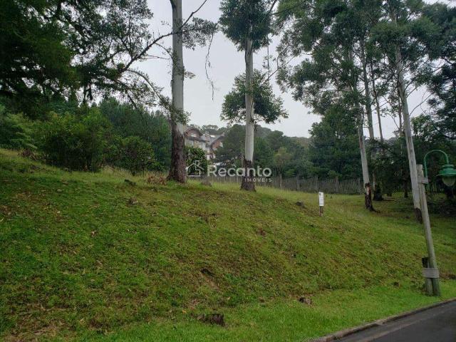 Terreno venda em Gramado