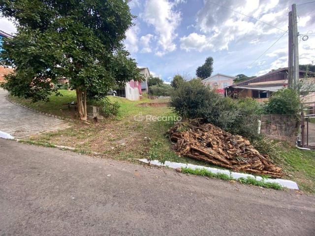 Terreno venda em Gramado