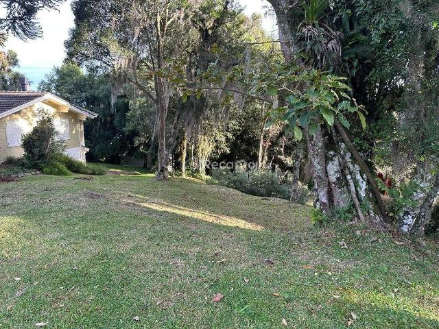 Terreno venda em Gramado