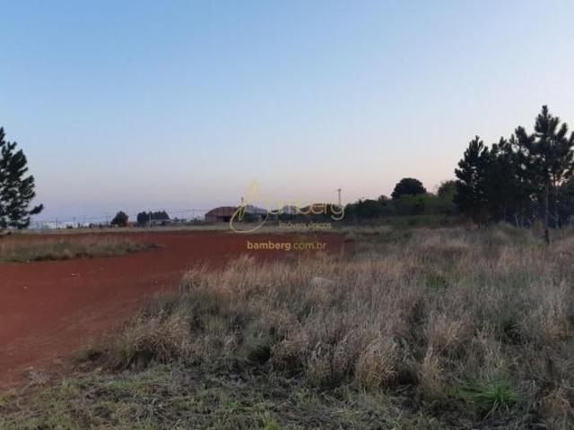 Terreno venda em Cará-Cará, Ponta Grossa