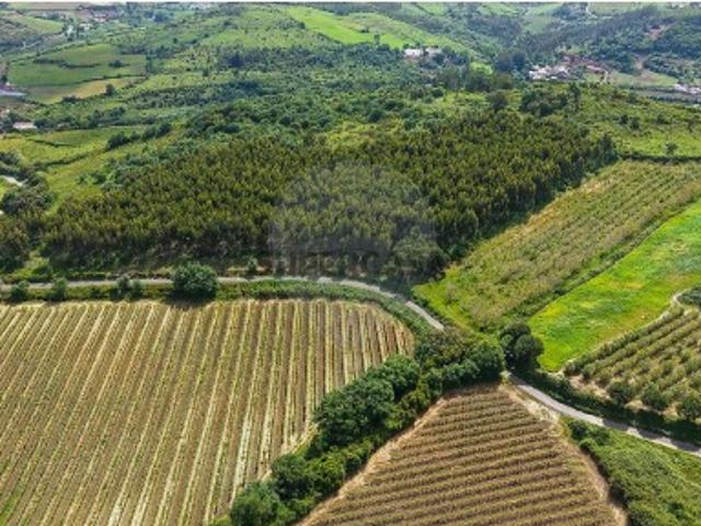 Terreno venda em Dois Portos, Torres Vedras