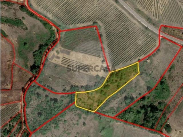 Terreno venda em Dois Portos, Torres Vedras