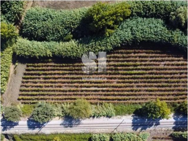 Terreno venda em Casal de São Pedro, Torres Vedras