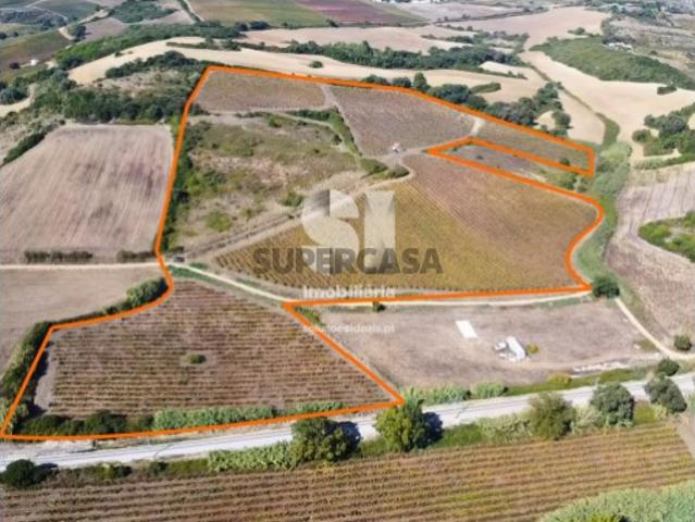 Terreno venda em Casal de São Pedro, Torres Vedras