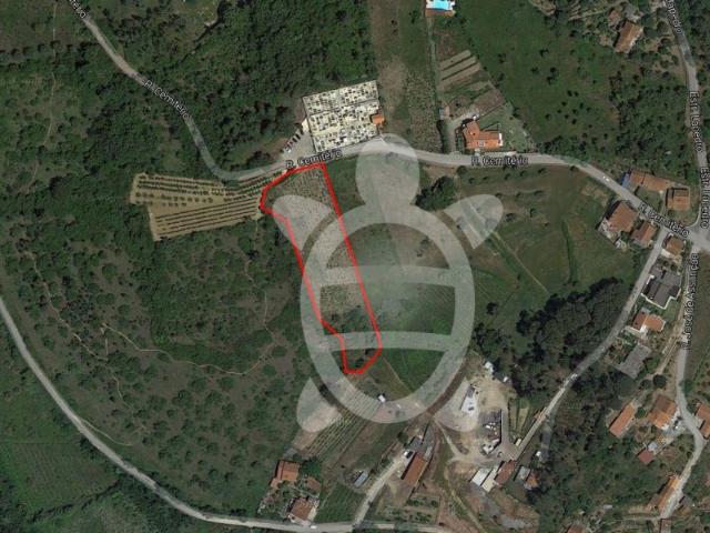 Terreno venda em Coimbrã, Coimbra