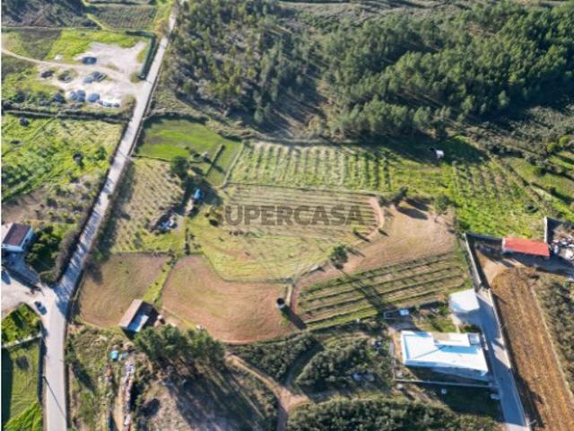 Terreno venda em Mação, Santarém