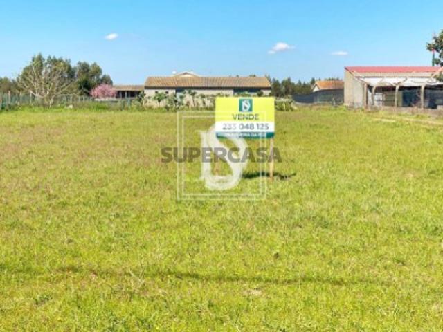 Terreno venda em Montemor-o-velho, Ereira Terreno venda em Montemor-o-velho, Ereira