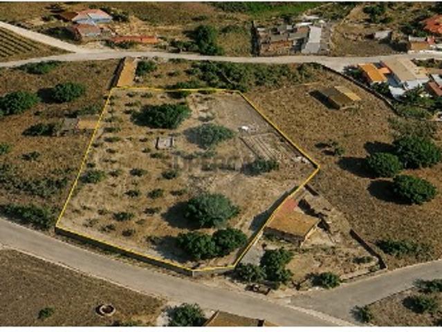 Terreno venda em Cartaxo, Santarém