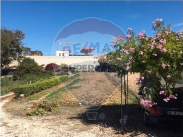 Terreno venda em Mafra, Lisboa