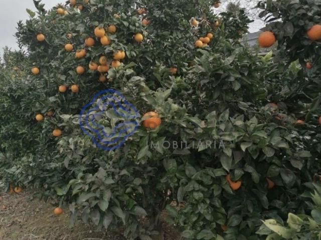 Terreno venda em Valongo, Porto