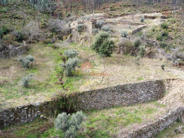 Terreno venda em Castelo Branco, Cumeada