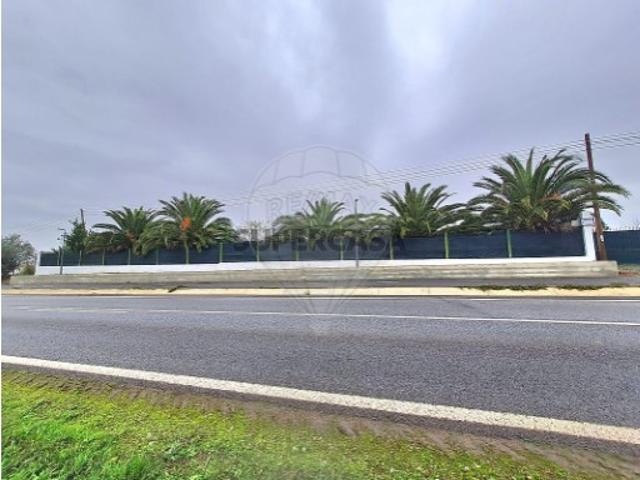 Terreno venda em Ervidel, Beja
