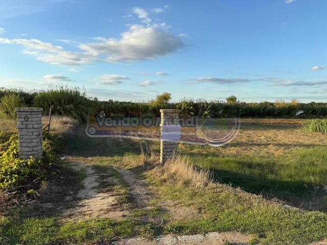 Terreno venda em Salvaterra De Magos, Santarém
