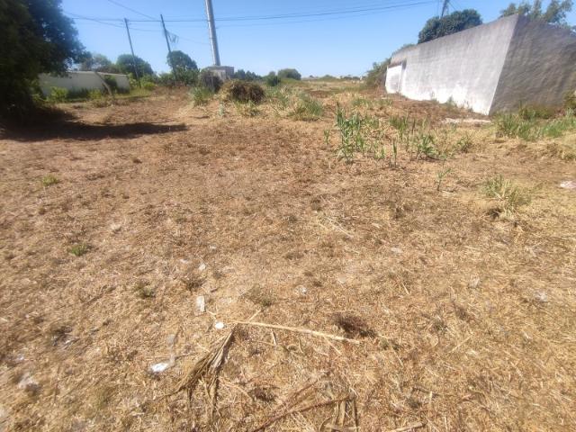 Terreno venda em Bairro do Vouga, Aveiro